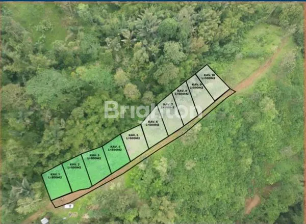 image KAVLING DURIAN MUSANGKING- INVESTASI MENGGUNTUNGKAN DI TABANAN BALI (8)