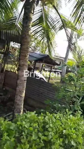 image TANAH BAGUS DI MANGGAR, LAMARU (5)