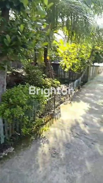 image TANAH BAGUS DI MANGGAR, LAMARU (7)