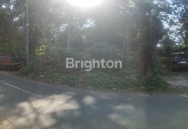 image LAHAN LUAS COCOK UNTUK GUDANG DAN PERUMAHAN (1)