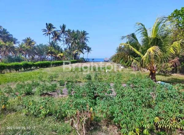image BEACH FRONT -LAND FOR SALE - PANTAI PASUT TABANAN (4)