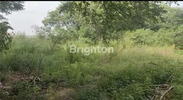 image DIJUAL LAHAN UNTUK INVESTASI DI BITUNG TANGERANG (2)