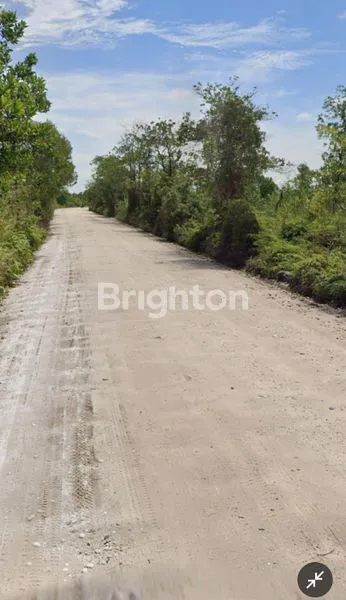 LAHAN DATAR PADAT KARYA GAMBUT KALSEL