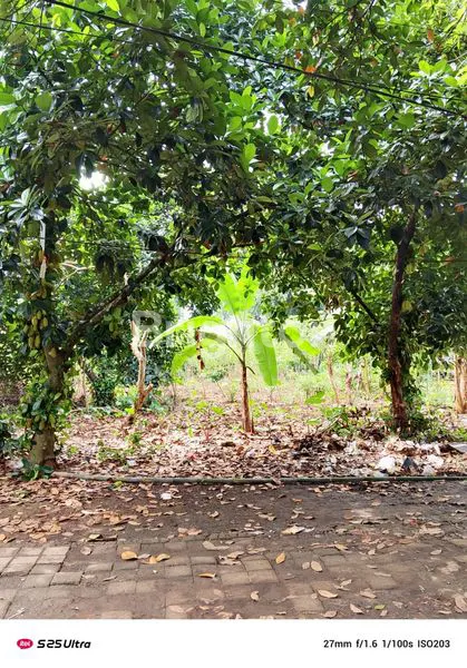 image LAHAN DATAR PINGGIR JALAN BOGOR (2)