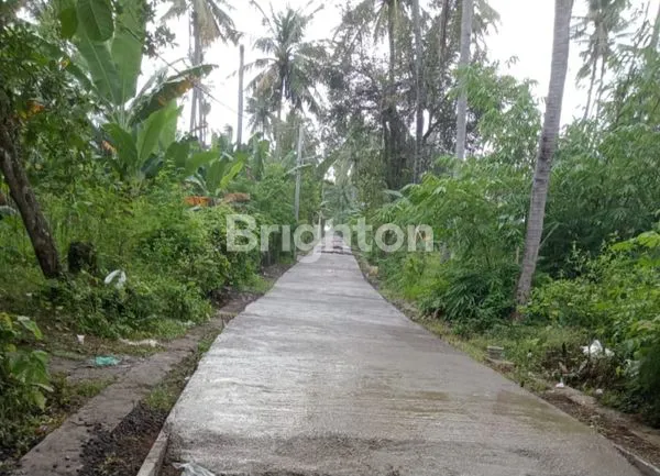 image TANAH ADA SUMBER AIR DI DESA WISATA PENGULON, GEROKGAK, BULELENG, BALI    (2)