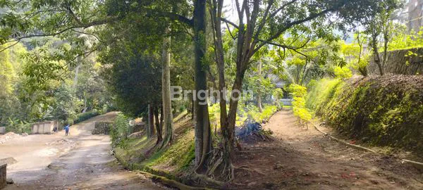 image DIJUAL TANAH DI PURWAKARTA, CIKUBANG (4)