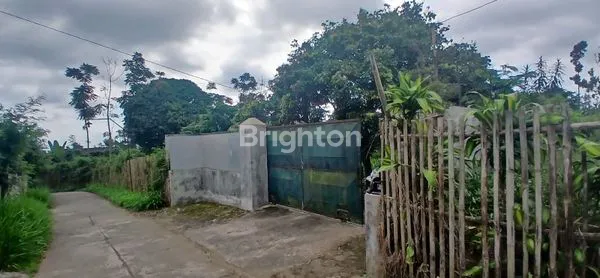image TANAH KEBUN DI PONCOKUSUMO KAB. MALANG (1)