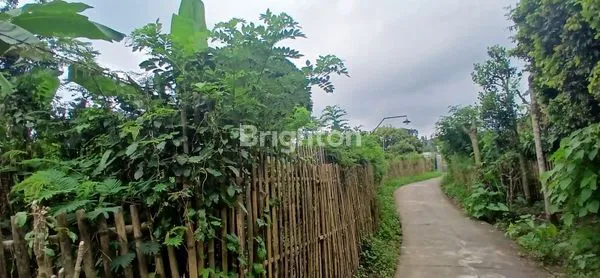 image TANAH KEBUN DI PONCOKUSUMO KAB. MALANG (3)