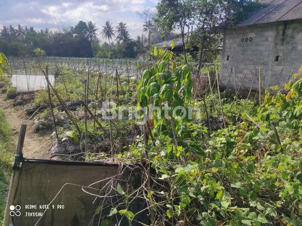 image TANAH SAWAH PINGGIR JALAN DENGAN VIEW PEGUNUNGAN (2)
