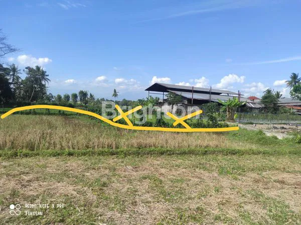 image TANAH SAWAH PINGGIR JALAN DENGAN VIEW PEGUNUNGAN (8)