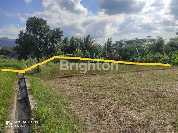 image TANAH SAWAH PINGGIR JALAN DENGAN VIEW PEGUNUNGAN (7)