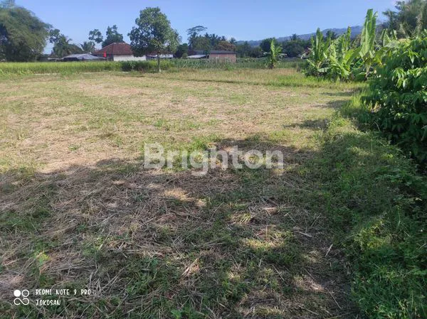 image TANAH SAWAH PINGGIR JALAN DENGAN VIEW PEGUNUNGAN (6)