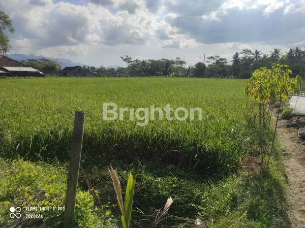 image TANAH SAWAH PINGGIR JALAN DENGAN VIEW PEGUNUNGAN (1)