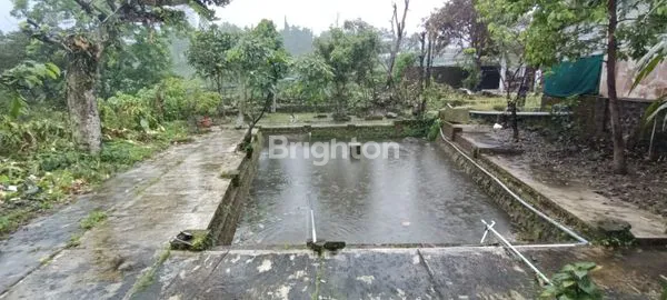 image RUMAH VILLA (2)