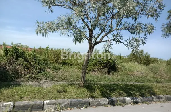 image TANAH CANTIK DAN UNIK (6)