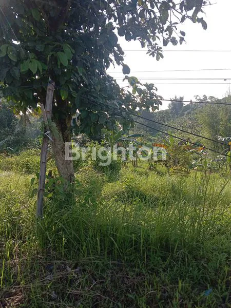 image LOKASI DI SEWA CEPAT  (5)