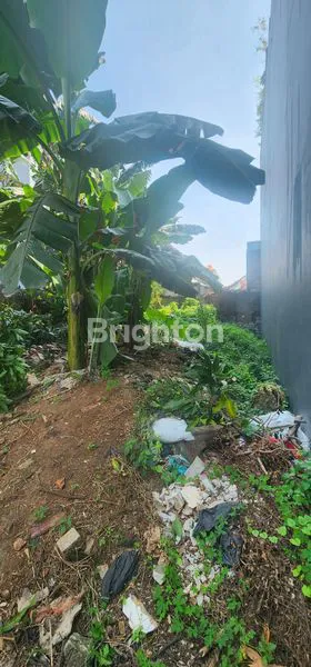 image TANAH KAVLING (2)