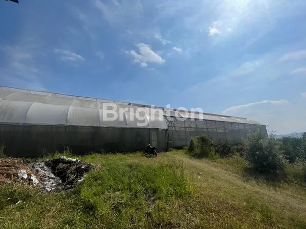 image TANAH DAN BANGUNAN GREEN HOUSE DI PASURUAN  (3)