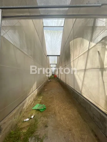 image TANAH DAN BANGUNAN GREEN HOUSE DI PASURUAN  (7)