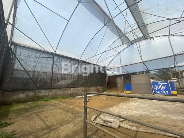 image TANAH DAN BANGUNAN GREEN HOUSE DI PASURUAN  (6)