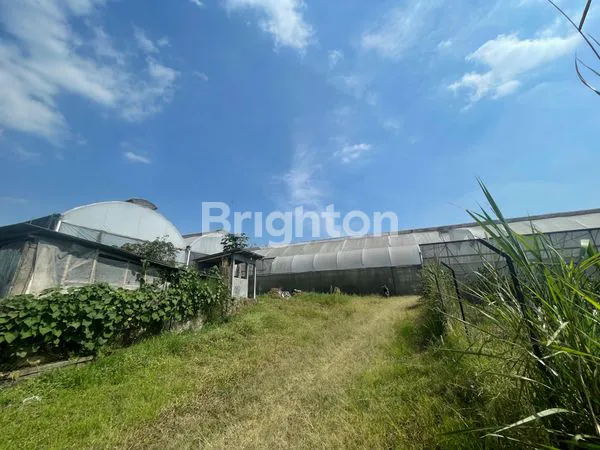 image TANAH DAN BANGUNAN GREEN HOUSE DI PASURUAN  (1)