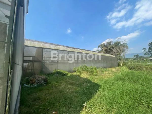 image TANAH DAN BANGUNAN GREEN HOUSE DI PASURUAN  (4)