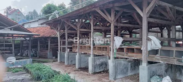 image RUMAH DAN LAHAN PETERNAKAN SAPI DI KARYAWANGI PARONGPONG BANDUNG BARAT, COCOK UNTUK USAHA DAN ISTIRAHAT LOKASI STRATEGIS DEKAT DENGAN THE PEAK RESORT (3)