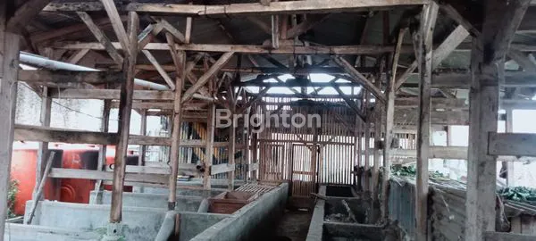 image RUMAH DAN LAHAN PETERNAKAN SAPI DI KARYAWANGI PARONGPONG BANDUNG BARAT, COCOK UNTUK USAHA DAN ISTIRAHAT LOKASI STRATEGIS DEKAT DENGAN THE PEAK RESORT (4)