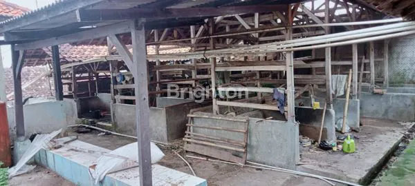 image RUMAH DAN LAHAN PETERNAKAN SAPI DI KARYAWANGI PARONGPONG BANDUNG BARAT, COCOK UNTUK USAHA DAN ISTIRAHAT LOKASI STRATEGIS DEKAT DENGAN THE PEAK RESORT (5)