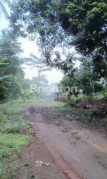 image JUAL CEPAT TANAH MATANG (KEBUN) LT. 11.196 M² – MAIN ROAD DAWUAN - KALIJATI, SUBANG (4)