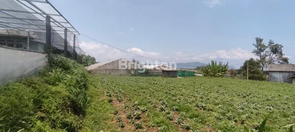 TANAH DAN BANGUNAN GREEN HOUSE NGADIPURO