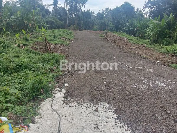 image TANAH KAVLING SIAP BANGUN COCOK UNTUK VILLA, PERUMAHAN ZONA KUNING DI BONGAN TABANAN (7)