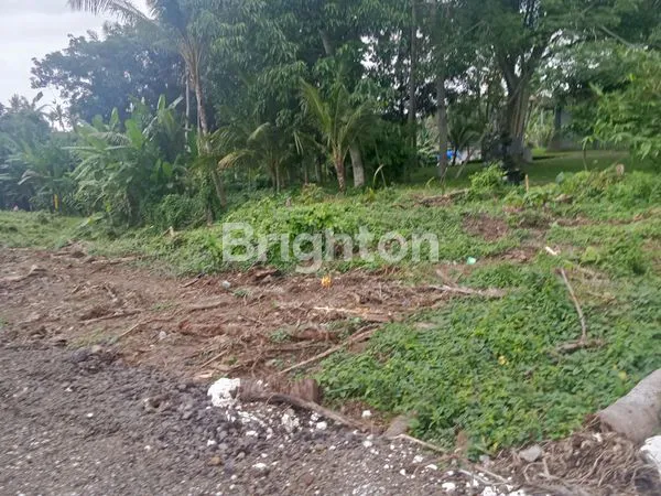 image TANAH KAVLING SIAP BANGUN COCOK UNTUK VILLA, PERUMAHAN ZONA KUNING DI BONGAN TABANAN (3)