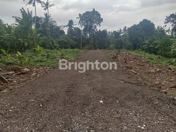 image TANAH KAVLING SIAP BANGUN COCOK UNTUK VILLA, PERUMAHAN ZONA KUNING DI BONGAN TABANAN (6)