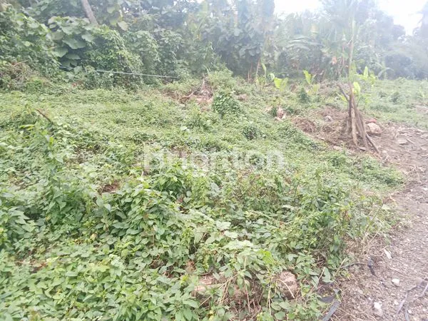 image TANAH KAVLING SIAP BANGUN COCOK UNTUK VILLA, PERUMAHAN ZONA KUNING DI BONGAN TABANAN (1)