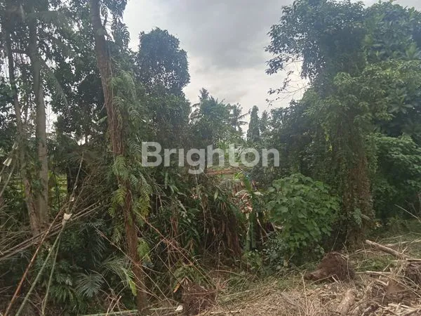 image TANAH KAVLING SIAP BANGUN COCOK UNTUK VILLA, PERUMAHAN ZONA KUNING DI BONGAN TABANAN (5)