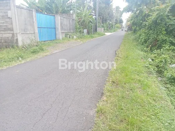 image TANAH KAVLING SIAP BANGUN COCOK UNTUK VILLA, PERUMAHAN ZONA KUNING DI BONGAN TABANAN (8)