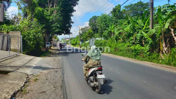 image TANAH DIJUAL DI JL. BY PASS TANAH LOT – PERERENAN (2)