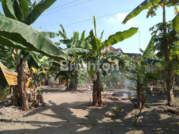 image PEKARANGAN KALIURANG KM 6, DEKAT UGM, COCOK UNTUK KOST KOS  (4)