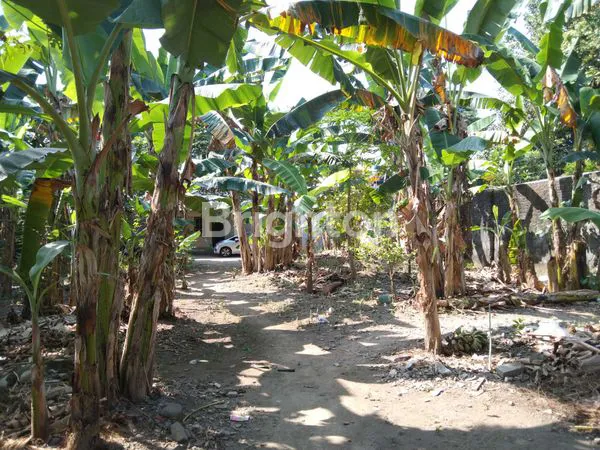 image PEKARANGAN KALIURANG KM 6, DEKAT UGM, COCOK UNTUK KOST KOS  (6)