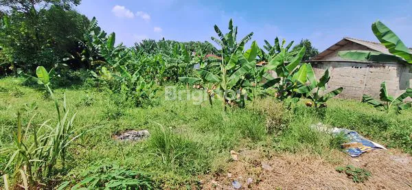 image TANAH KOMERSIAL  MARUGA CIATER SERPONG BSD (2)