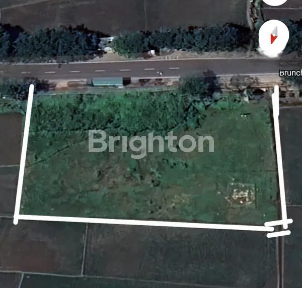 DI SEWA KAN TANAH PUNGGIR  JALAN UTAMA  SELUAS 3.310M2