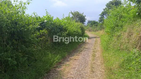 image TANAH MURRAH LUAS 2689M2 BUMIAJI KOTA BATU (2)