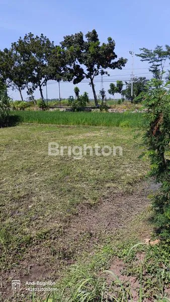 image TANAH STRATEGIS SIAP BANGUN DI SENTUL TEMBELANG JOMBANG (4)