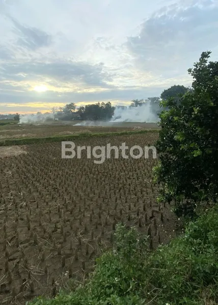 image TANAH LEGOK, TANGERANG, SANGAT STRATEGIS, SHM (2)