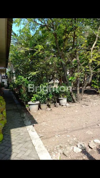 image TANAH DAN RUMAH DI JUAL (4)