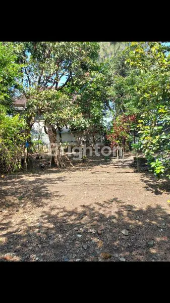 image TANAH DAN RUMAH DI JUAL (6)