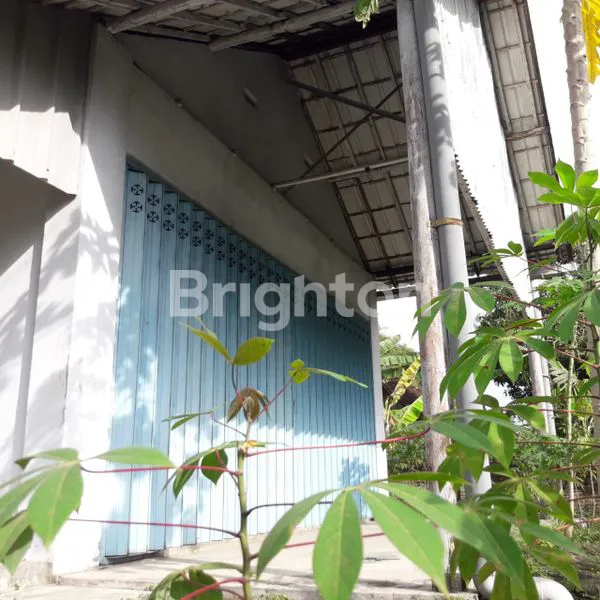 image TANAH DESA SEMBUNG, KARANG JATI DEKAT PASAR TALOK, NGAWI  (1)