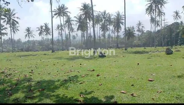 image DIJUAL TANAH TABANAN JL. RAYA DENPASAR - GILIMANUK (6)