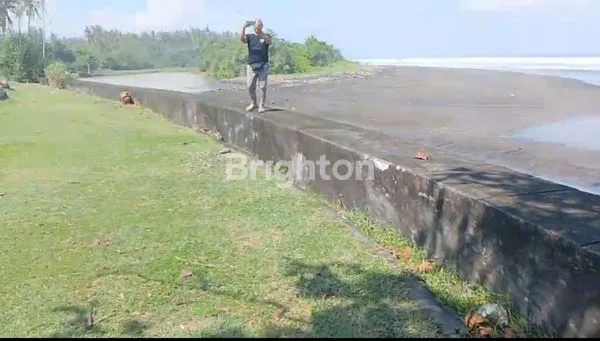 image DIJUAL TANAH TABANAN JL. RAYA DENPASAR - GILIMANUK (4)